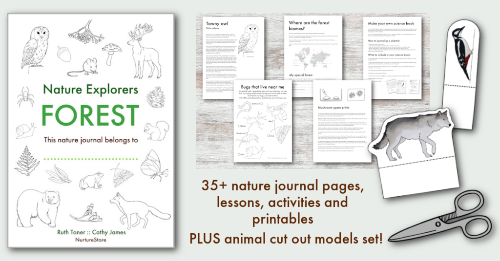 guided nature journal for children