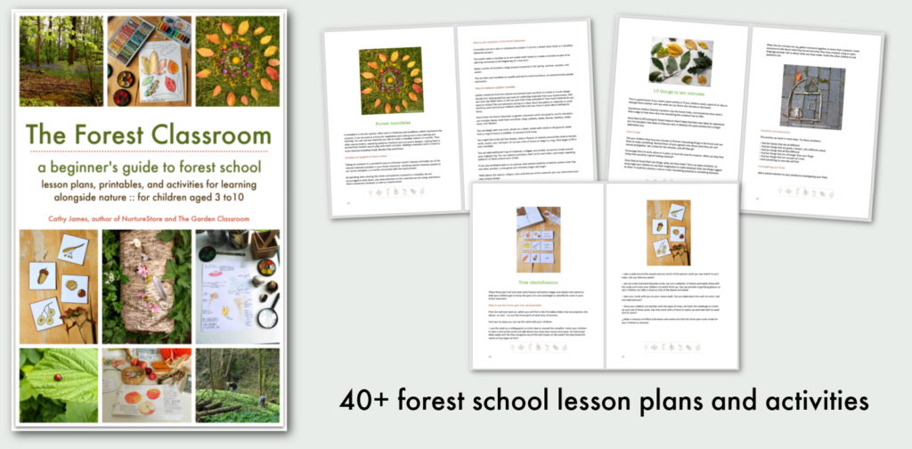 forest school lesson plans