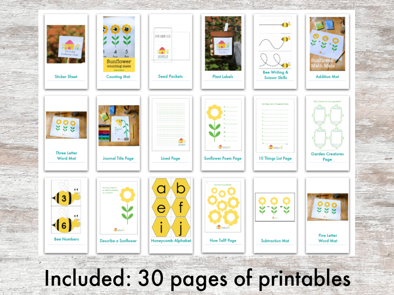 sunflower theme printables for children